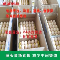 源头蛋场直供平价散养鸡蛋批发 整箱360颗批发鸡蛋当天发货
