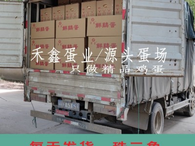 源头蛋场直供平价散养鸡蛋批发 整箱360颗批发鸡蛋当天发货图3
