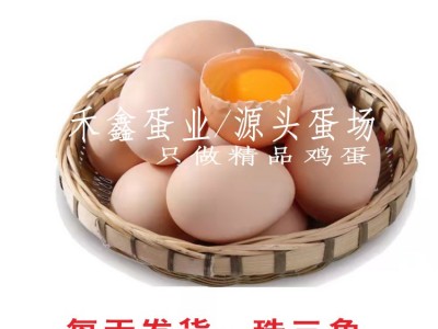 源头蛋场直供平价散养鸡蛋批发 整箱360颗批发鸡蛋当天发货图5