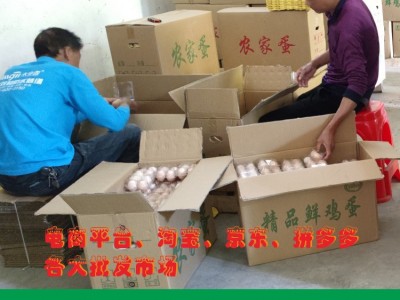 源头蛋场直供平价散养鸡蛋批发 整箱360颗批发鸡蛋当天发货图4