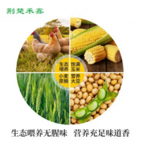 绿壳鸡蛋初生蛋420枚装厂家整箱量大从优批发