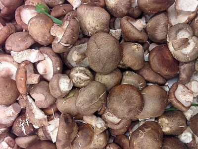 陇南两当特产香菇干货300g/袋美味西坡图3
