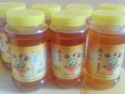 陇南两当特产狼牙蜜500克/瓶美味西坡图2