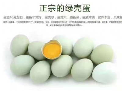 陇南特产绿壳乌鸡蛋30枚/盒营养健康图5
