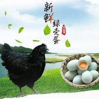 陇南特产绿壳乌鸡蛋30枚/盒营养健康