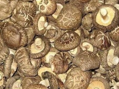 陇南特产香菇散装500克/袋图5