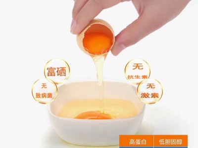 富硒无抗鸡蛋40枚土溏心新鲜柴现捡鸡蛋2022虎年货送礼礼品盒图2