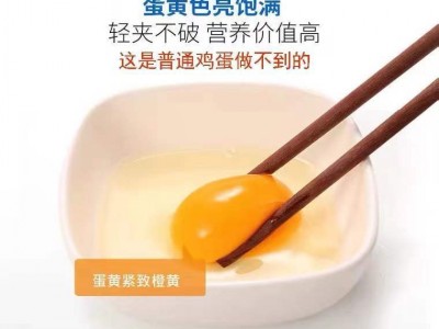 富硒无抗鸡蛋新鲜无沙门氏菌鸡蛋孕幼可食用当日现捡批发一件代发图3