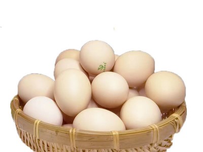 富硒无抗鸡蛋新鲜无沙门氏菌鸡蛋孕幼可食用非散养鸡蛋批一件代发图5