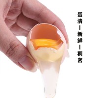 百食轩品牌散养新鲜土鸡蛋360枚谷物营养土鸡蛋产地直发批发代发