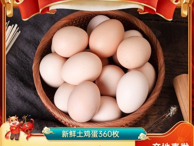 百食轩品牌散养新鲜土鸡蛋360枚谷物营养鸡蛋产地直发批发代发图3