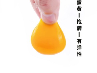 百食轩品牌散养新鲜土鸡蛋360枚谷物营养鸡蛋产地直发批发代发图2