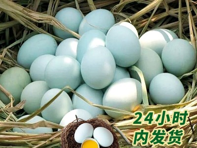 安徽农家特产乌鸡蛋果林散养五谷虫草现捡现发孕妇宝宝辅食土鸡蛋图3