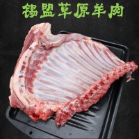 内蒙古羔羊排 锡盟羊排新鲜羊肉厂家直销冷冻烧烤批发肋排