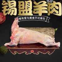 内蒙古羊肉 锡盟全羊羔羊肉白条羊酮体烤厂家直销冷冻羊腔