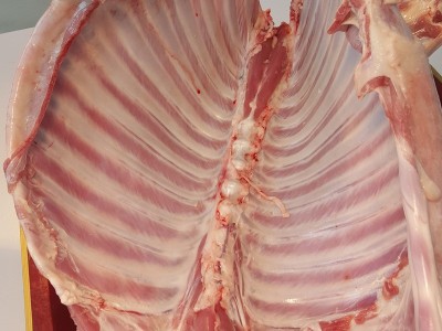 内蒙古羊肉 锡盟全羊羔羊肉白条羊酮体烤厂家直销冷冻羊腔图2