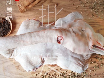 汕头鹅场供应狮头鹅鹅壳(大)9-10斤 纯鹅肉身 不带翅掌图5