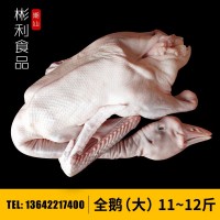 狮头鹅鹅场澄海狮头鹅 全鹅整只(大) 潮汕卤鹅原料 带翅掌