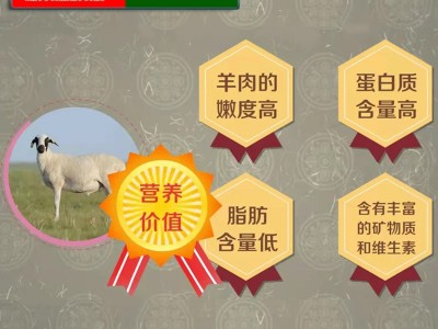 首菜首家 内蒙羔羊带骨前腿1斤/件草饲散养烧烤食材羊肉工厂直供图4