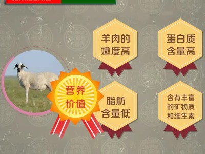 首菜首家 内蒙苏尼特羔羊前腿1斤/件冷冻羊前腿烧烤羊肉串原料图4