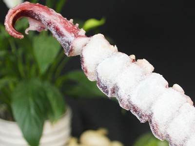 鑫发远洋章鱼串八爪鱼串油炸烧烤食材大串鱿鱼串龙珠串直批图2