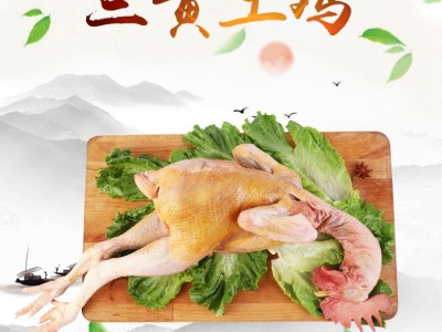 四川三黄土鸡 纯粮喂养肉质鲜美 现杀发货三黄鸡 非冷冻型图4