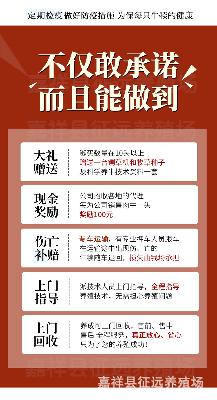 牛1-1