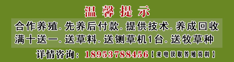 温馨提示