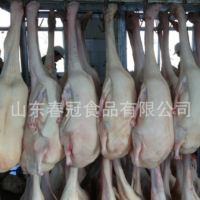 专业供应 优质冻白条鹅体 山东朗德鹅肉 冻卤鹅肉鹅体批发