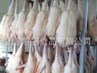 专业供应 优质冻白条鹅体 山东朗德鹅肉 冻卤鹅肉鹅体批发图4
