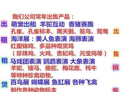出售孔雀价格 蓝孔雀价钱一对 观赏白孔雀一只 孔雀幼苗图4