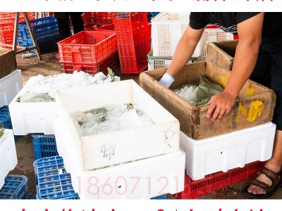 湖北洪湖 鲜活789钱小龙虾新鲜活虾 30斤50斤食用红壳虾餐馆包邮图3