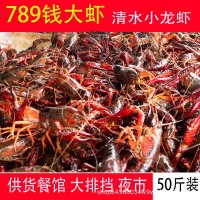湖北洪湖 鲜活789钱小龙虾新鲜活虾 30斤50斤食用红壳虾餐馆包邮