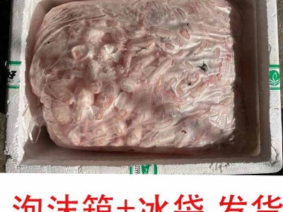 湖北白鲢鱼泡 鱼胶泡 鲜活鱼现杀 新鲜冷冻鱼鳔批发 厂家餐馆直供图4