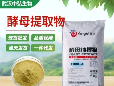 厂家直供食品添加剂安琪酵母提取物 风味型FD00-A 酵母抽提物增味图2