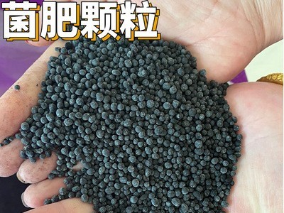厂家生产 有机肥发酵腐熟农家肥 生物有机肥 微生物菌肥图4