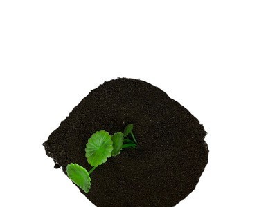 蚯蚓粪有机肥晒干牛粪哪里卖 河北润东肥业 厂家生产直发图4