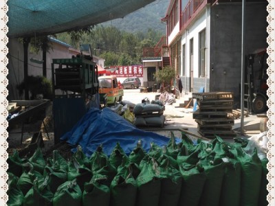 泰山板栗批发 也可以提供代购图5