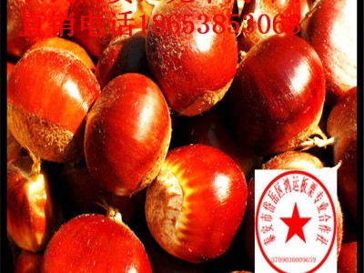泰山板栗批发 也可以提供代购图4