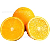 秭归脐橙新鲜应季水果橙手剥甜橙橙子一件代发