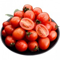 广西现摘现发新鲜圣女果小西红柿小番茄一件代发