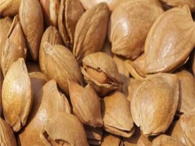 大量批发手剥杏仁 散装500g 休闲零食干果 一件代发杏仁杏核图3