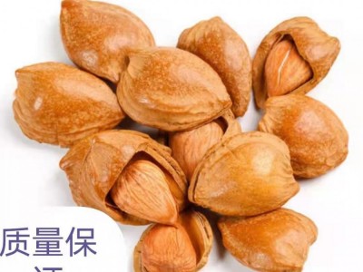 大量批发手剥杏仁 散装500g 休闲零食干果 一件代发杏仁杏核图4