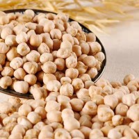 新货 大量批发新疆鹰嘴豆中颗粒大颗粒鹰嘴豆鸡豆五谷杂粮