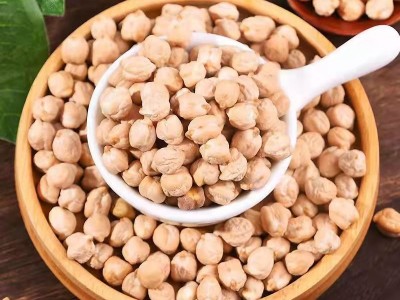 新货 大量批发新疆鹰嘴豆中颗粒大颗粒鹰嘴豆鸡豆五谷杂粮图3