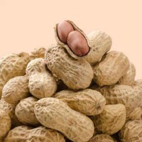 原味2粒炒熟花生带壳熟花生铁锅炒花生4.4斤