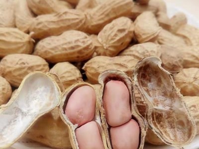 原味2粒炒熟花生带壳熟花生铁锅炒花生4.4斤图3