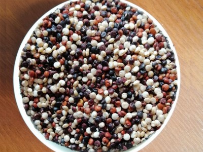 25KG装青海三色藜麦1:1:1 五谷杂粮高原藜麦 宝宝辅食藜麦图3