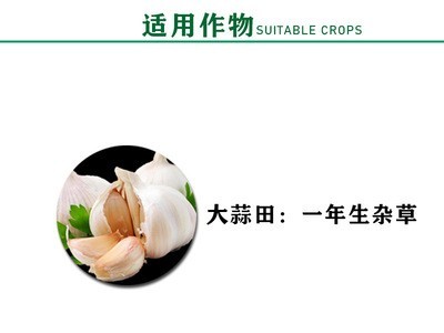 44%戊·氧·乙草胺大蒜田除草剂和阔双除250毫升/瓶40瓶/箱农药图3