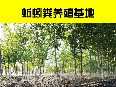 蚯蚓粪 改良土壤 蚯蚓土肥 花卉绿化保水保肥图2